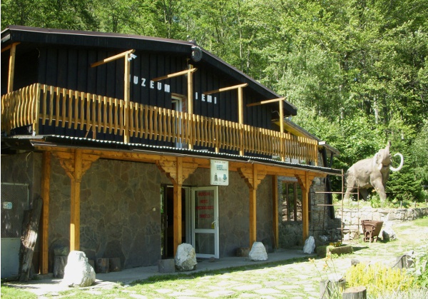 Muzeum Ziemi